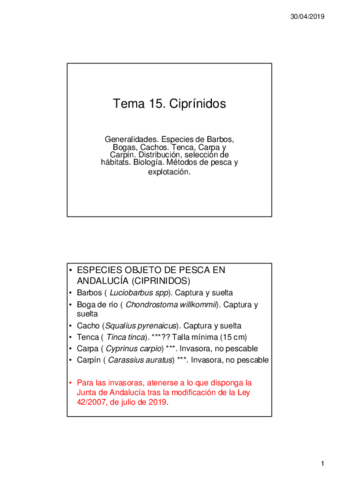 Tema-15.pdf
