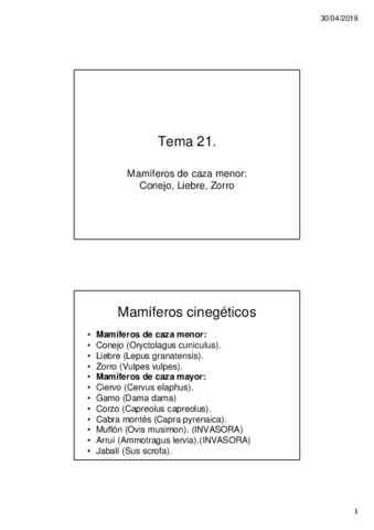 Tema-21.pdf