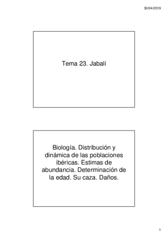 Tema-23.pdf