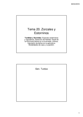 Tema-20.pdf