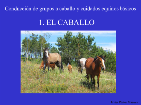 Cuaderno-Equitacion-1-TabarcaEcir.pdf