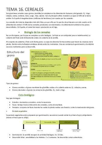 Agronomia-Q4.pdf