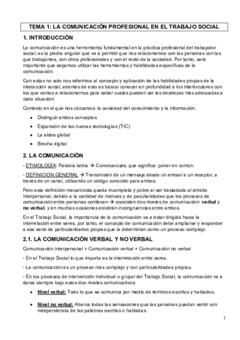 TEMA1.pdf