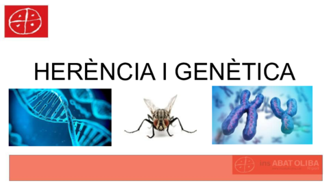 T4-HERENCIA-I-GENETICA--4t-eso-.pdf