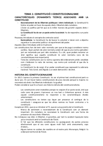 CONSTITUCIONALapuntes-examen.pdf