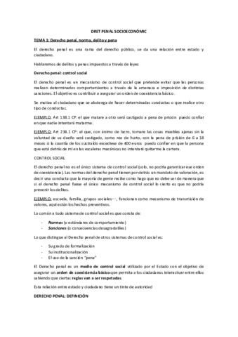 DRET-PENAL-SOCIOECONOMIC.pdf