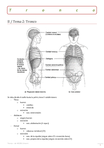 02-Tronco.pdf
