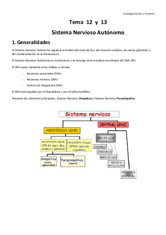 Temas 1213 y 14 Fisiología.pdf