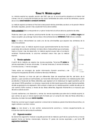 Tema-14.pdf