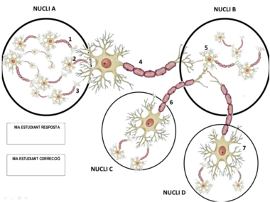 Protocol practica sinapsis 2014.pdf
