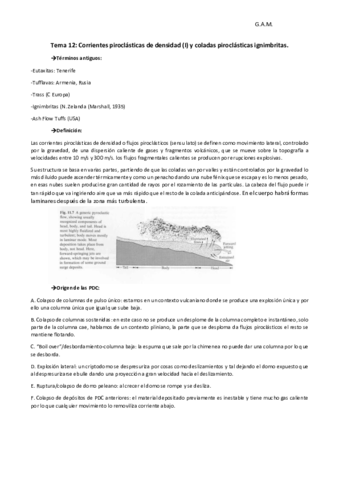 Tema 12 VULCA.pdf