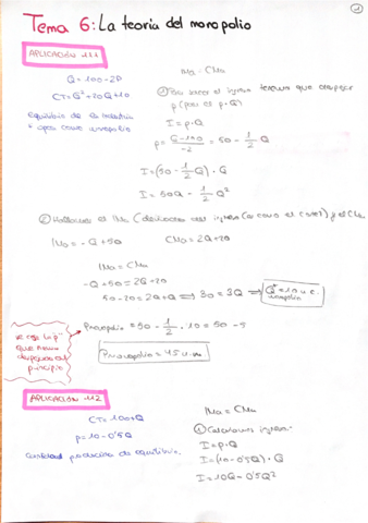 TEMA-6.pdf