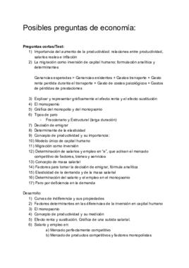 Preguntas economía.pdf