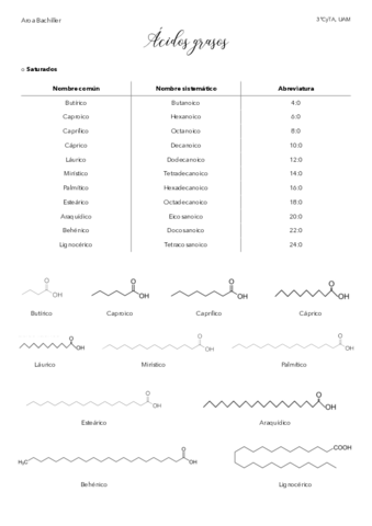 Formulacion-acidos-grasos.pdf