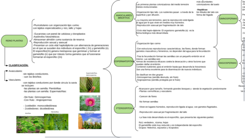 Parte-1-Esquema-plantas.png