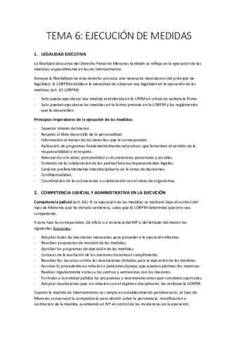 Resumen-Tema-6.pdf