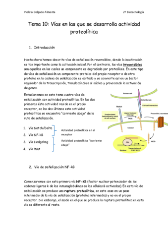 Tema-10.pdf