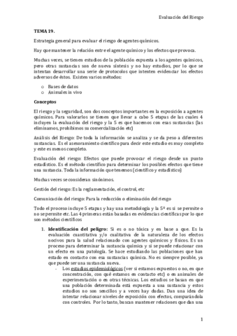 tema-19.pdf