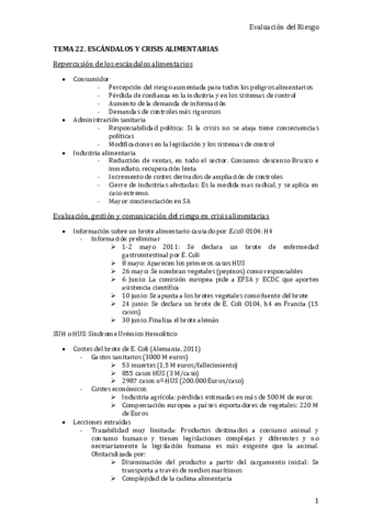 TEMA-22.pdf