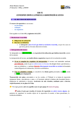 TEMA-19.pdf