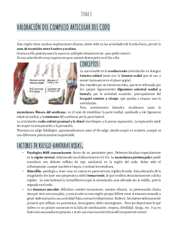 VALORACION-IBAI-T8-VALORACION-CODO.pdf