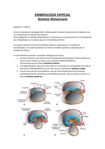 Embriologia-Especial-SD.pdf