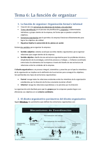 Tema-6-La-funcion-de-organizar.pdf
