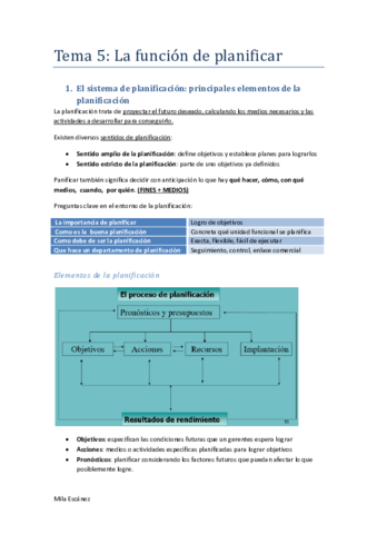 Tema-5-La-funcion-de-planificar.pdf