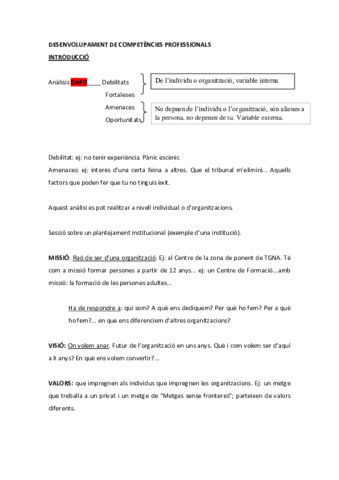 DESENVOLUPAMENT-DE-COMPETENCIES-PROFESSIONALS.pdf