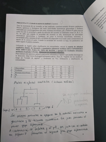 Examen-Ecologia-Com.jpg