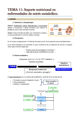 TEMA 11. Soporte nutricional en enfermedades de estrés metabólico..pdf