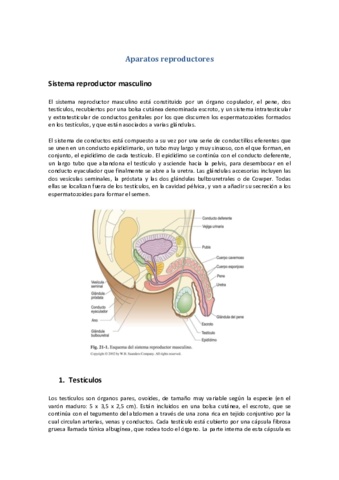 Tema-48-Aparatos-reproductores.pdf