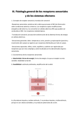 Fisiología Tema 3.pdf