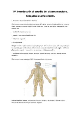 Fisiología Tema 4.pdf
