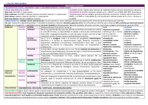 OPIACEOS-copia2.pdf
