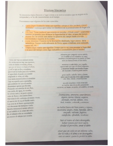 Literatura-Renacentista-Completa-.pdf