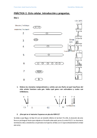 EPD-Ciclo-Celular.pdf