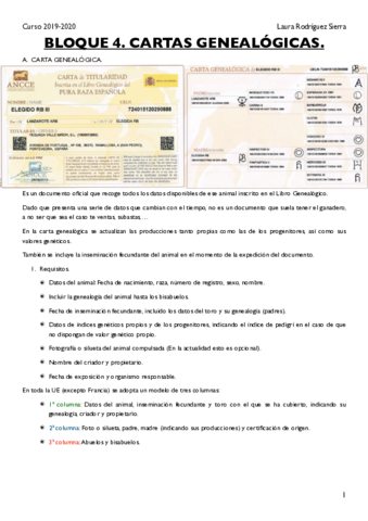 BLOQUE-4.pdf