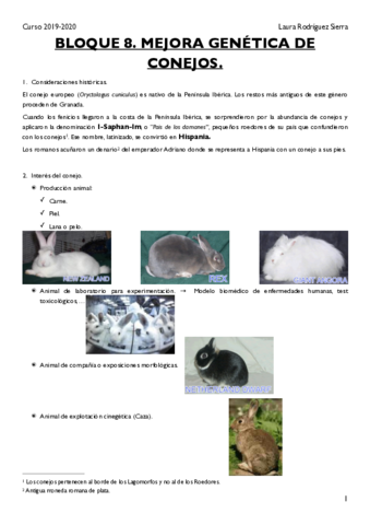 BLOQUE-8.pdf