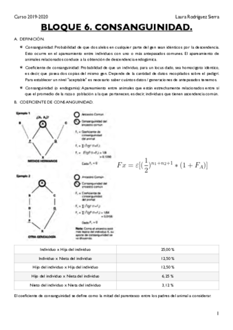 BLOQUE-6.pdf