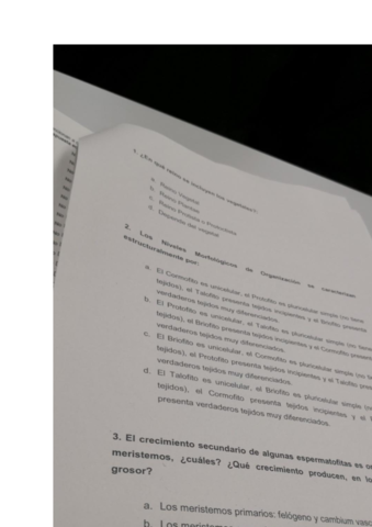 EXAMEN-BOTANICA-2019.pdf