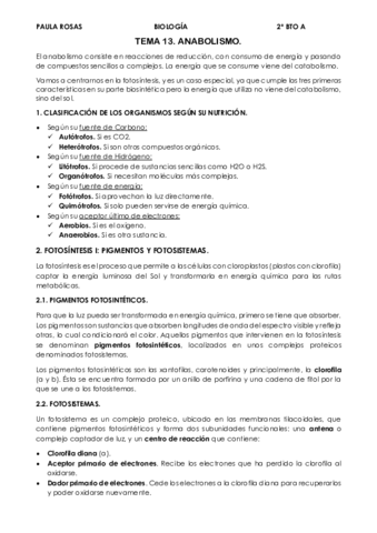 TEMA-13-ANABOLISMO.pdf