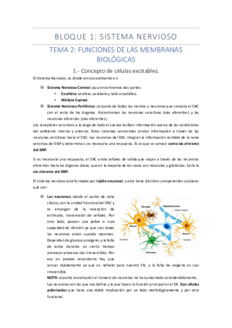 BLOQUE-1.pdf