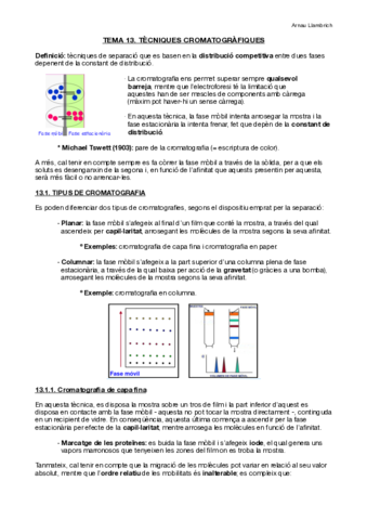 Apunts-Tecniques-Instrumentals-Tema-13.pdf