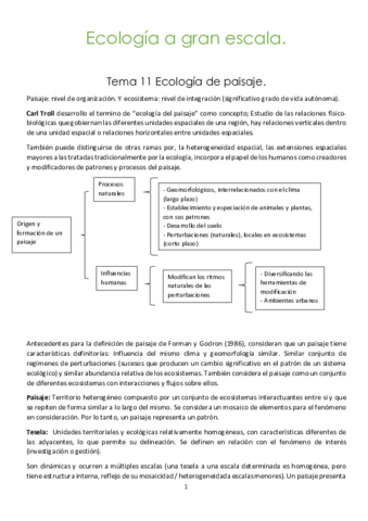 Ecologia-a-gran-escala.pdf