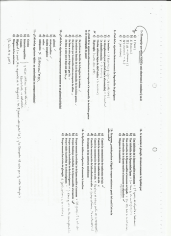 bioqui-quinielas-final.pdf