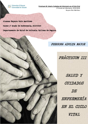 RuizNayaraTrabajoPracticumIII.pdf