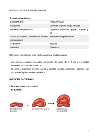 UNIDAD-5.pdf