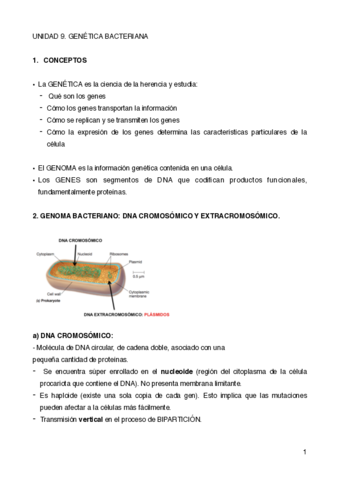 UNIDAD-9.pdf