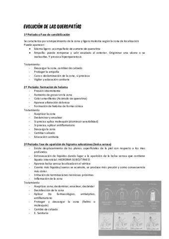 SEMINARIO-1.pdf